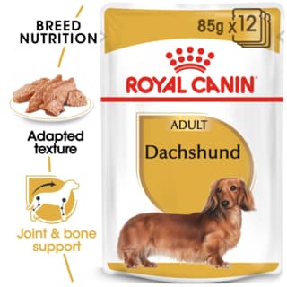 Royal Canin Dachshund Wet Dog Food - 85g