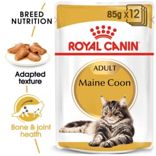 Royal Canin Maine Coon Adult Wet Cat Food - 85g