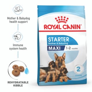 Royal Canin Maxi Starter Mother & Babydog Dry Dog Food - 15 kg