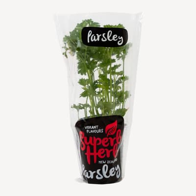 Superb Herb Parsley Curley Small