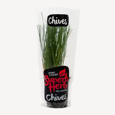 Superb Herb Chives Small