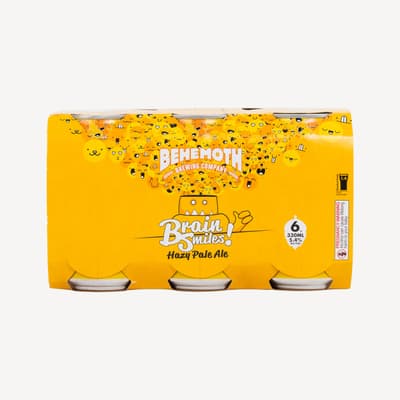 Brain Smiles Hazy Pale Ale 330ml 6pk